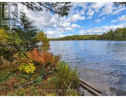 0 Rock Lake Road, Algonquin Highlands, ON P0A1J0 Photo 28