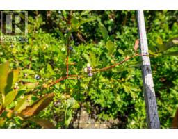 4530 Thompson Clarke Dr E, Bowser, BC V0R1G0 Photo 49