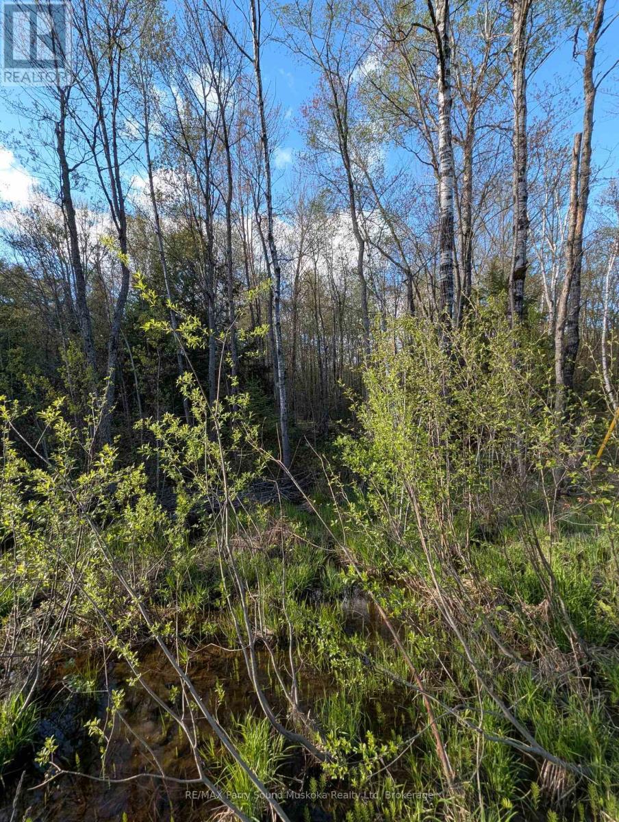 0 Sugar Lake Road — photo 21