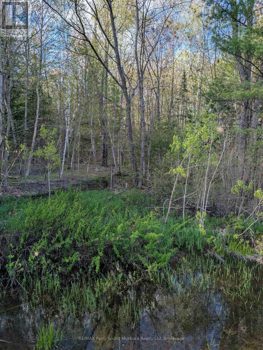 0 Sugar Lake Road — photo 22