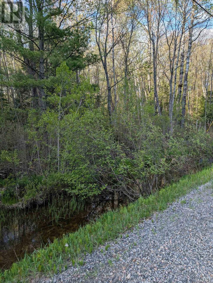0 Sugar Lake Road — photo 20