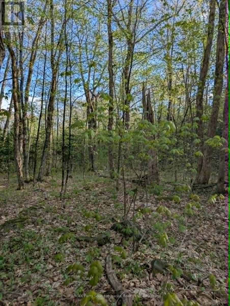0 Sugar Lake Road — photo 13