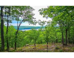 1497 Fox Point Road, Lake Of Bays, ON P0A1H0 Photo 34