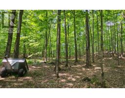 1497 Fox Point Road, Lake Of Bays, ON P0A1H0 Photo 36