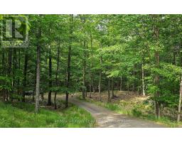 1497 Fox Point Road, Lake Of Bays, ON P0A1H0 Photo 35