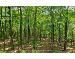 1497 Fox Point Road, Lake Of Bays, ON P0A1H0 Photo 38