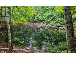 1497 Fox Point Road, Lake Of Bays, ON P0A1H0 Photo 39