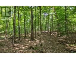 1497 Fox Point Road, Lake Of Bays, ON P0A1H0 Photo 37