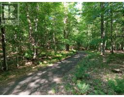 1497 Fox Point Road, Lake Of Bays, ON P0A1H0 Photo 42