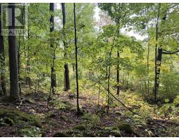 000 Railroad Street, Rideau Lakes, ON K0E1G0 Photo 6