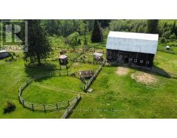 1367 Detlor Road, Bancroft, ON K0L2L0 Photo 36
