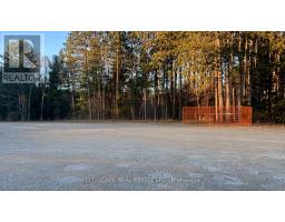 8 - 8021 35 Highway, Kawartha Lakes, ON K0M2L0 Photo 8