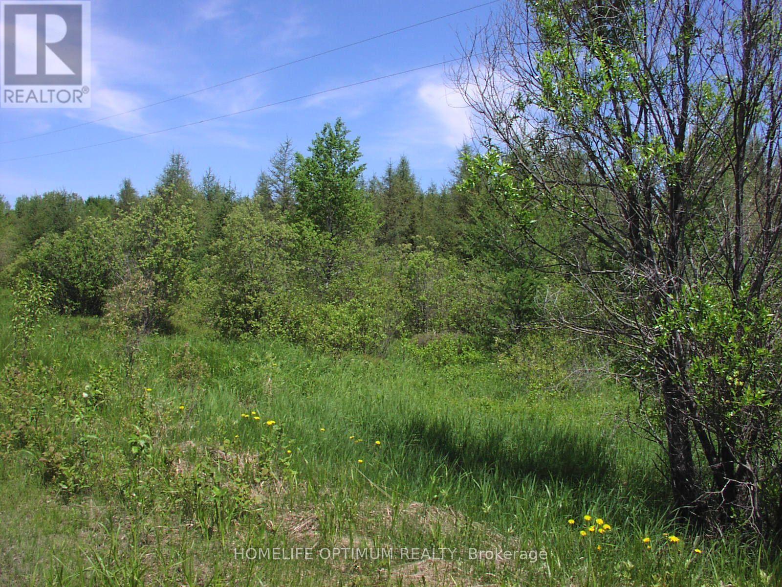 Williamson Township, Val Rita-Harty, ON photo 2
