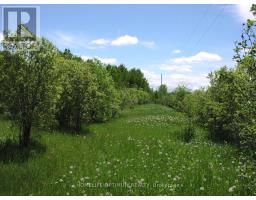 Parcel 4217 Williamson Township, Val Rita Harty, ON P0L2G0 Photo 6