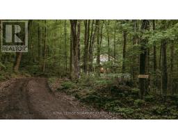 1221 Hand Drive, Highlands East, ON K0M1X0 Photo 11