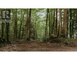 1221 Hand Drive, Highlands East, ON K0M1X0 Photo 50