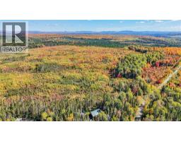 1264 Canton Road, Dsl De Drummond/dsl Of Drummond, NB E3Y3W8 Photo 31