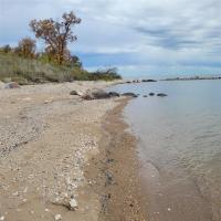24 Lake Forest Drive, Gimli Rm, MB R0C1B0 Photo 11