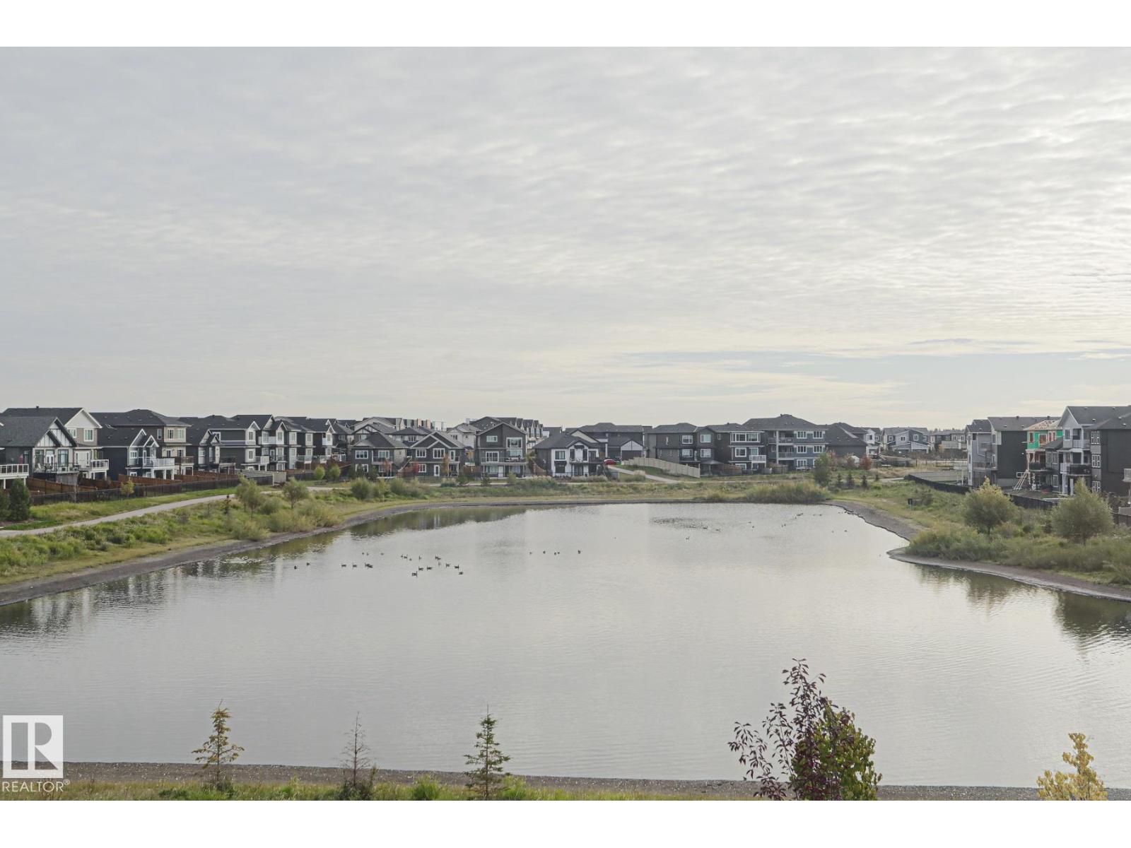 41 ELKO BN - Image 35