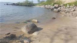 37042 Road 103 N Bay, St Clements, MB R0C0T0 Photo 34