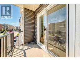 802, 250 Fireside View - photo 16