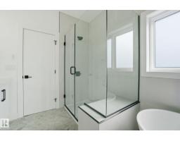 7603 92 Av Nw, Edmonton, AB T6C1R3 Photo 47