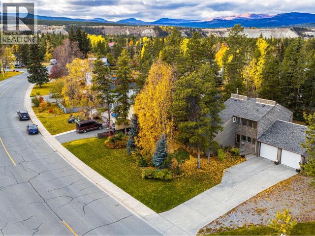 203 ALSEK ROAD - 20