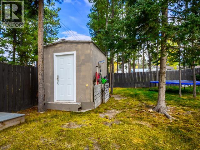 203 ALSEK ROAD - 29
