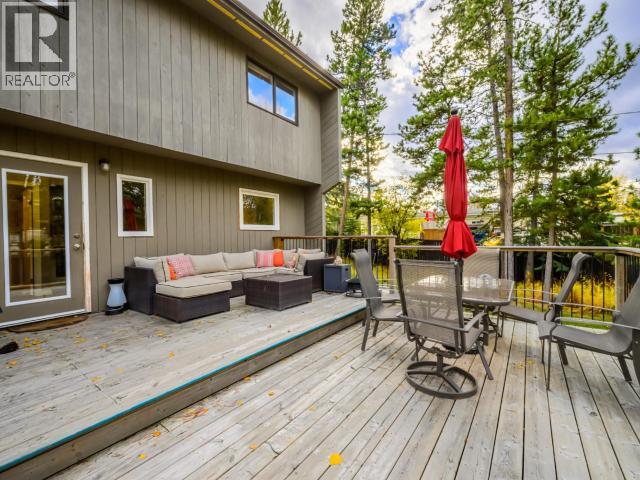 203 ALSEK ROAD - 33
