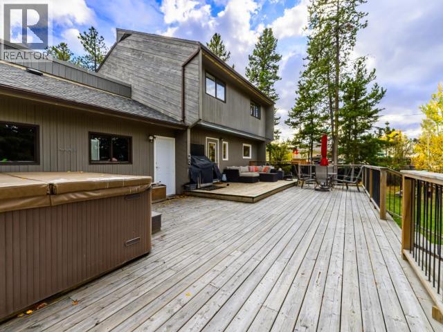 203 ALSEK ROAD - 35