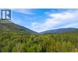 4529 Highway 3, Arrow Creek, BC V0B1G9 Photo 28