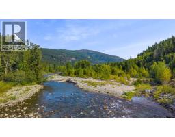 4529 Highway 3, Arrow Creek, BC V0B1G9 Photo 26