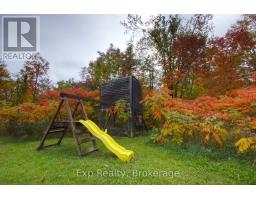2988 County 44 Road, Havelock Belmont Methuen, ON K0L1Z0 Photo 6