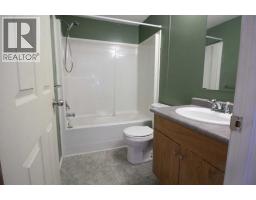 9 Deerridge Drive, High Level, AB T0H1Z0 Photo 15