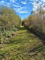 39044 Road 34n Road, La Broquerie, MB R0A0W2 Photo 28
