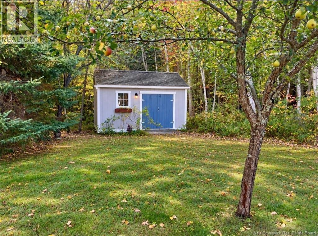 656 Sureau Blanc - Image 6