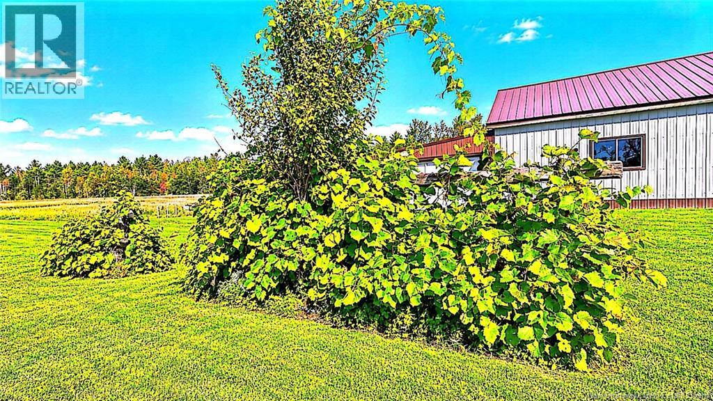 482 ch Tilley Road - 35