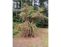 945 Pine Crescent, Genelle, BC V0G1G0 Photo 24