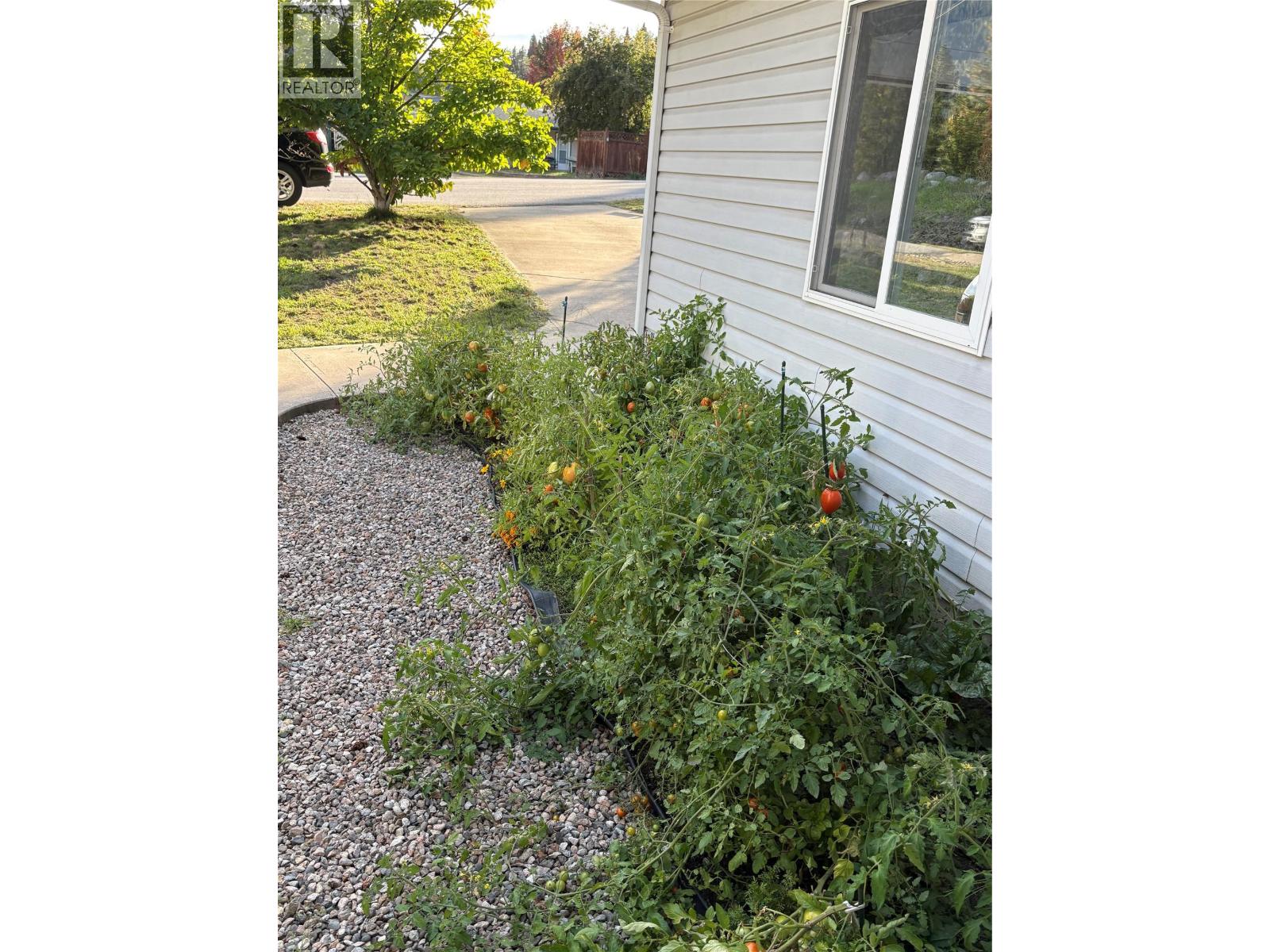 945 Pine Crescent - 47