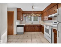 Utility room - 13315 30 St Nw, Edmonton, AB T5A3A1 Photo 10