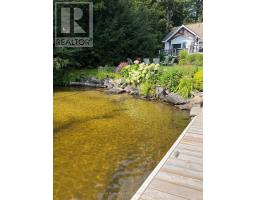 1 - 1246 Dudley Road, Muskoka Lakes, ON P0C1A0 Photo 50
