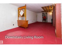 10512 55 Av Nw, Edmonton, AB T6H0W7 Photo 20