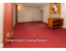 10512 55 Av Nw, Edmonton, AB T6H0W7 Photo 21