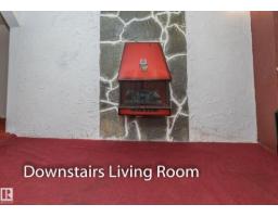 10512 55 Av Nw, Edmonton, AB T6H0W7 Photo 22