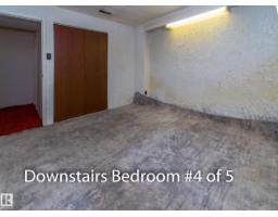 10512 55 Av Nw, Edmonton, AB T6H0W7 Photo 23