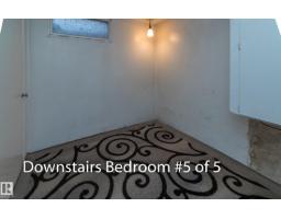 10512 55 Av Nw, Edmonton, AB T6H0W7 Photo 24