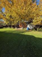 145 4th Avenue W, Souris, MB R0K2C0 Photo 18