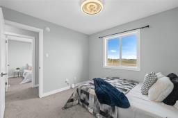 29 Cartmill Bay, West St Paul, MB R2V5G6 Photo 25