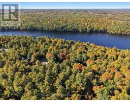 77 Lorlei Drive, Mcnab/braeside, ON K0A3L0 Photo 43