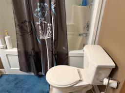 3 Dray Place Sw, Altona, MB R0G0B2 Photo 6